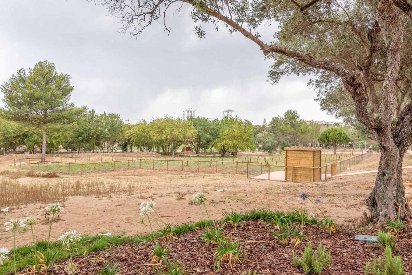Guestready - Peaceful 1 Bedroom Abode In Estoril Esterno foto